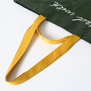 Bag with two pairs of handles.