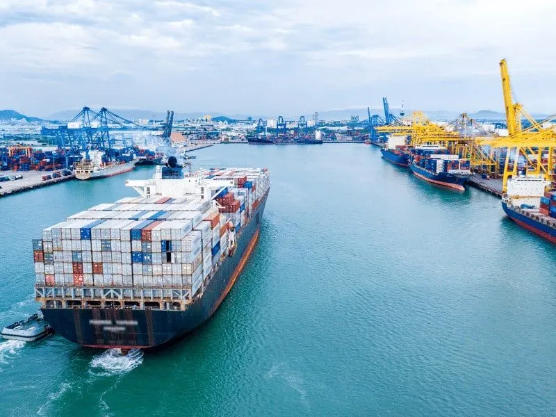 Image showcasing our products available for global delivery, emphasizing international trade capabilities