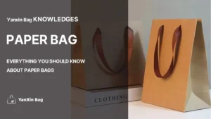 Everything You Should Know About Paper Bags – Featured image with two paper bags and the blog title, representing the theme of paper bags.