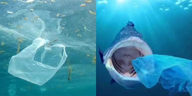 Everything You Should Know About Paper Bags – Ocean plastic pollution caused by discarded plastic bags, emphasizing environmental harm.