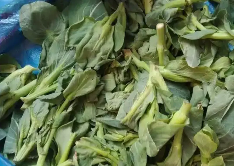 The Ultimate Guide to Choosing the Right Eco-Friendly Bag for Food Storage 4 The Ultimate Guide to Choosing the Right Eco-Friendly Bag for Food Storage - Reduces Food Waste, featuring wilted vegetables in a plastic bag, emphasizing how eco-friendly bags can help minimize food waste.