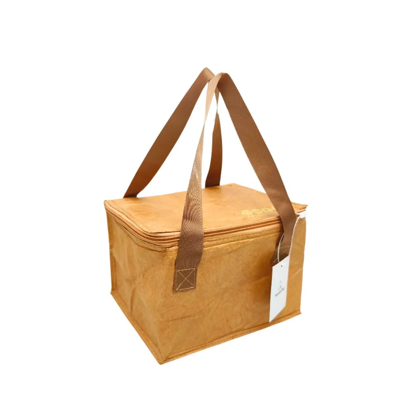 Waterproof and insulated Tyvek cooler bag with custom print options, ideal for lunch packaging, takeout, and promotional outdoor use