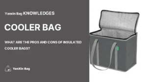 insulated cooler bag with article title “What Are the Pros and Cons of Insulated Cooler Bags?”