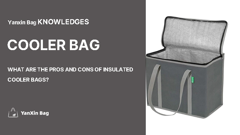 insulated cooler bag with article title “What Are the Pros and Cons of Insulated Cooler Bags?”