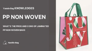 Laminated PP Non Woven Bag shown for Pros and Cons of Laminated PP Non Woven Bags topic