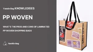 Laminated PP Woven Shopping Bags with blog title text, visually representing the theme “Pros and Cons of Laminated PP Woven Shopping Bags”