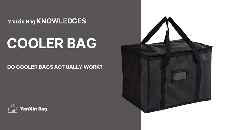 soft insulated cooler bag shown in Do Cooler Bags Actually Work