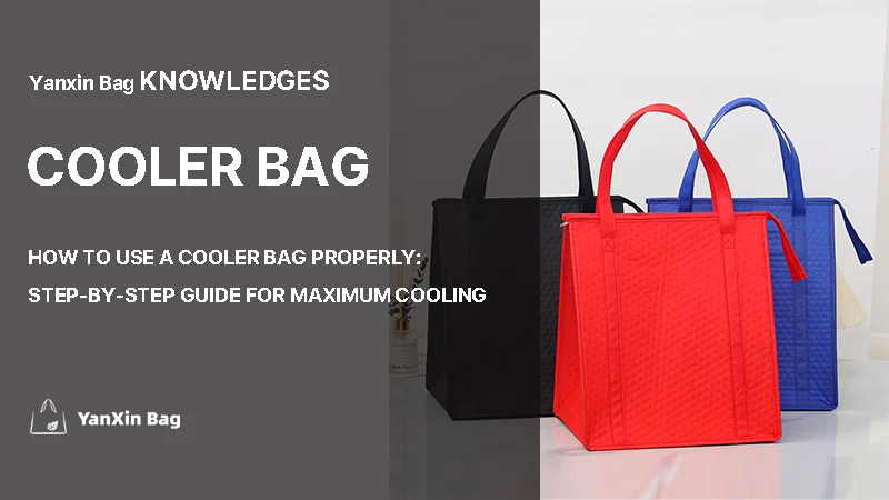 reusable insulated tote bags featured in How to Use a Cooler Bag Properly