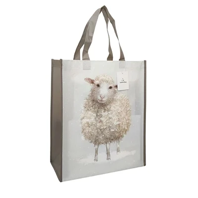Laminated Non-Woven Bag vs. PP Woven Bag – Surface Comparison